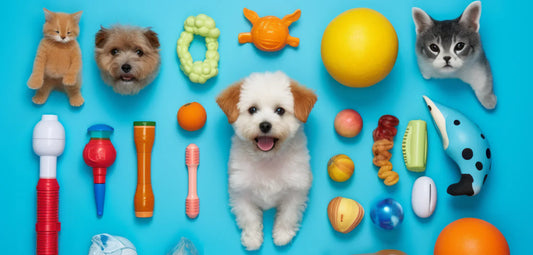 How to Choose the Right Pet Products: A Complete Guide for Smart Pet Parents