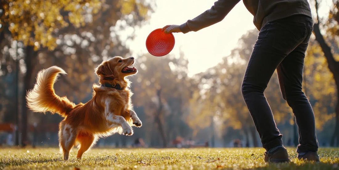 The Science of Happy Pets: Expert-Backed Tips to Boost Your Pet’s Wellbeing