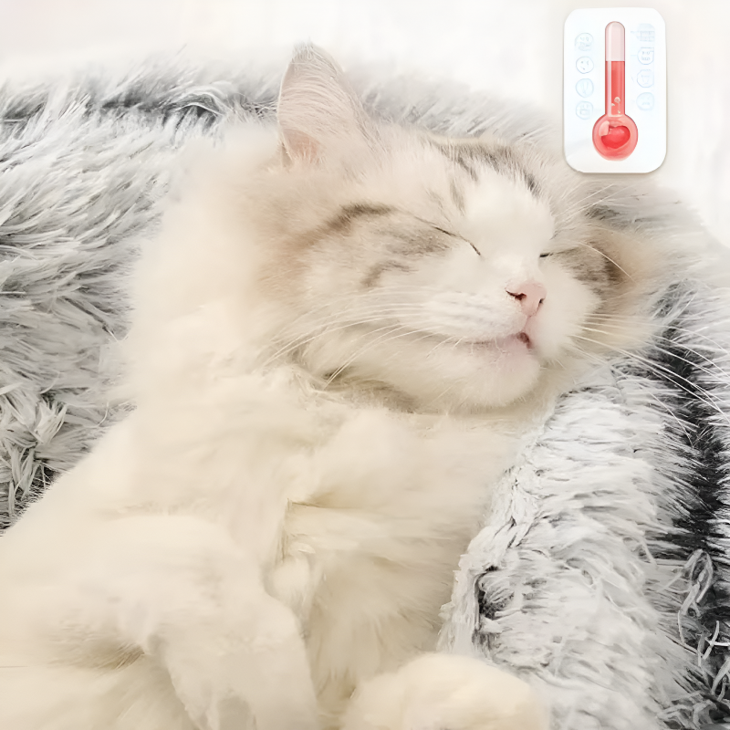 Ultra-Soft Plush Round Bed for Cats & Small Dogs