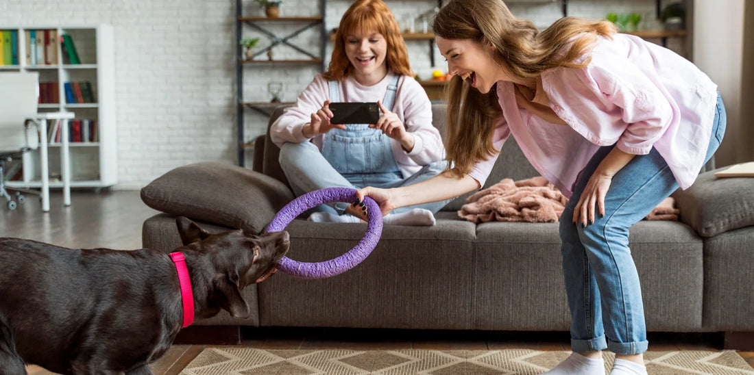 From Treats to Toys: What Every Pet Needs at Different Life Stages