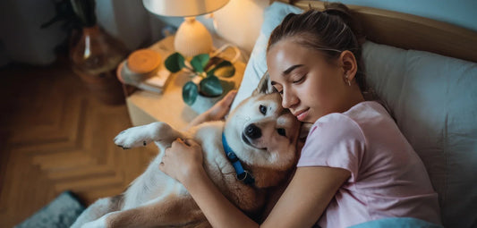 The Science of Happy Pets: Expert-Backed Tips to Boost Your Pet’s Wellbeing