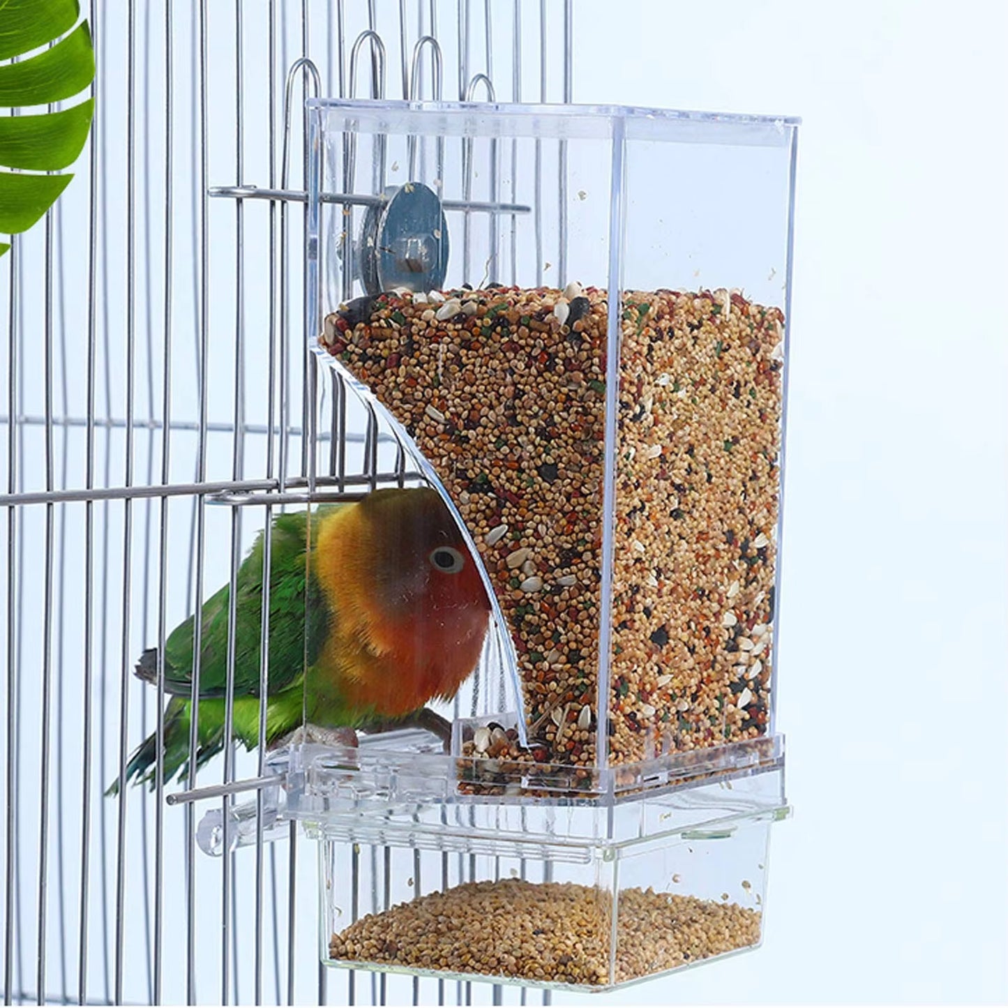 No Mess Bird Feeders Automatic Parrot Feeder Drinker Acrylic Seed Food Container Cage Accessories for Small and Medium Parakeets