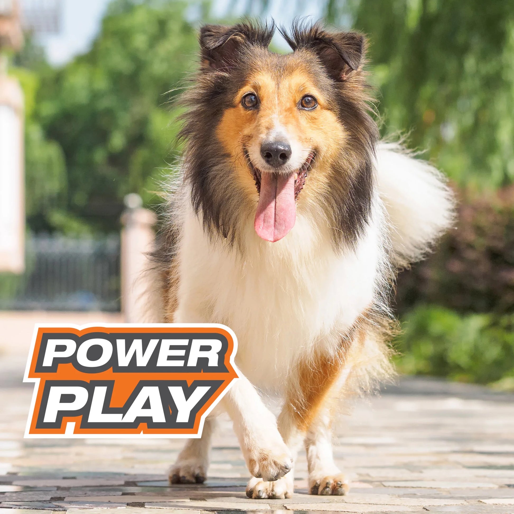 Power Play Ball for Dogs Crazy Ball Large/Giant - up to 50 Lbs. (1 Count)